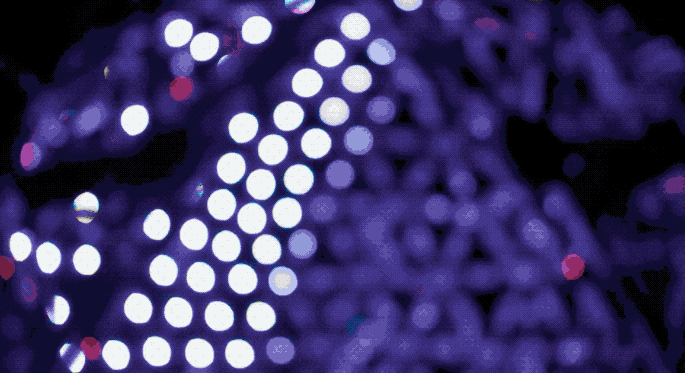 在这个充满 LED 灯的「鸡蛋」里，做一个 3D 建模变得更简单-Qunjin Textile